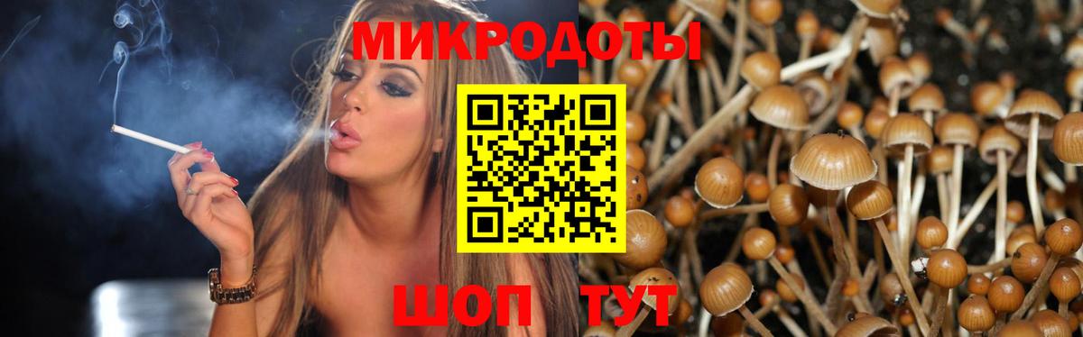 Псилоцибиновые грибы мухоморы  Вход с VPN  Котовск  Галлюциногенные грибы Psilocybine cubensis 